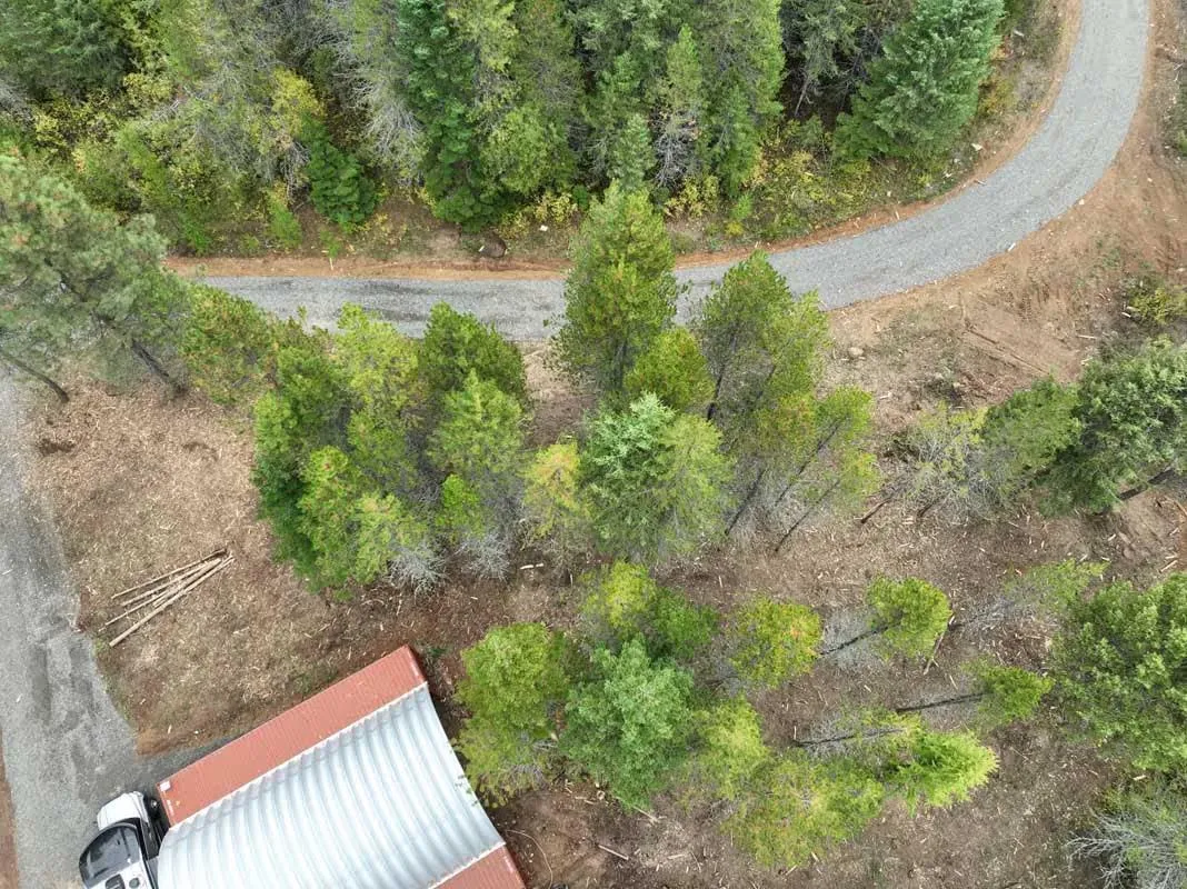 Aerial view of trees between a winding road and a property during fire mitigation work