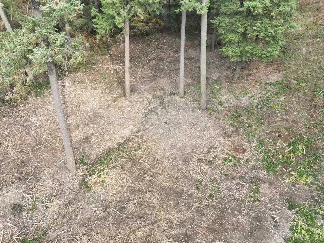 Aerial view of a mulched slope with a few trees left standing after fuel reduction