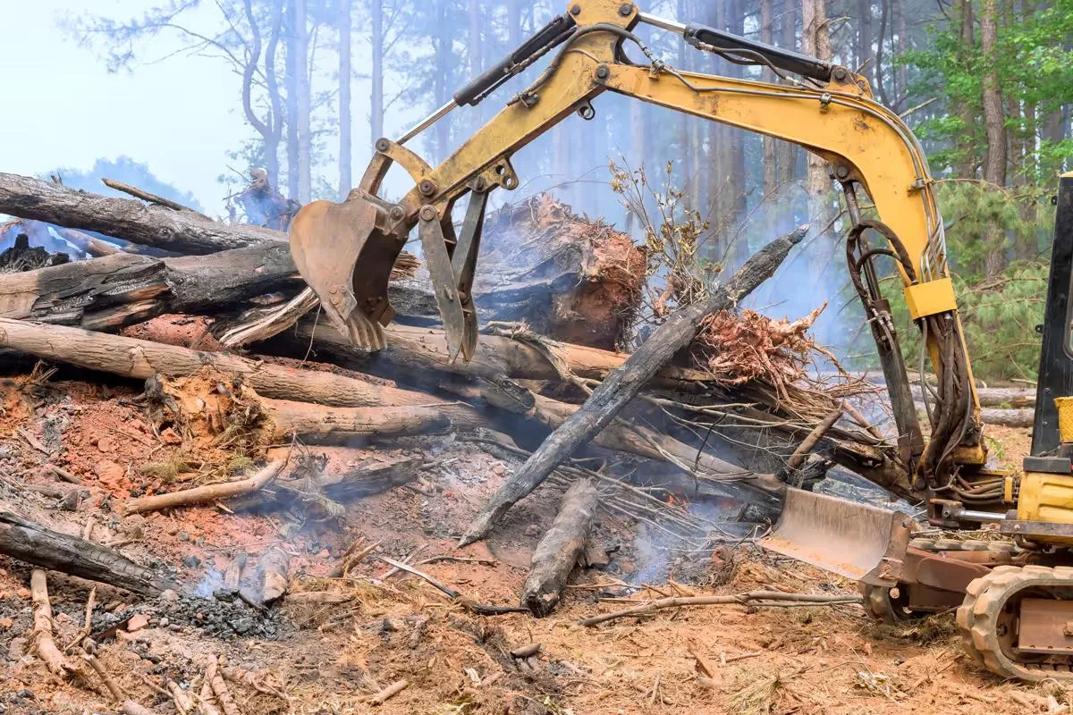 Excavator piling downed logs and woody debris to reduce wildfire fuel in a forest